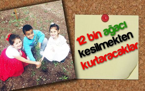 Minikler 12 bin ağacı kesilmekten kurtaracak 