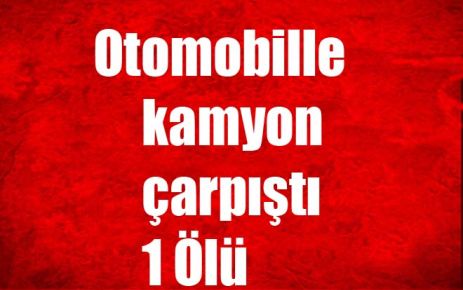 Otomobille kamyon çarpıştı: 1 Ölü, 4 Yaralı