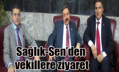 Sağlık-Sen?den vekillere ziyaret