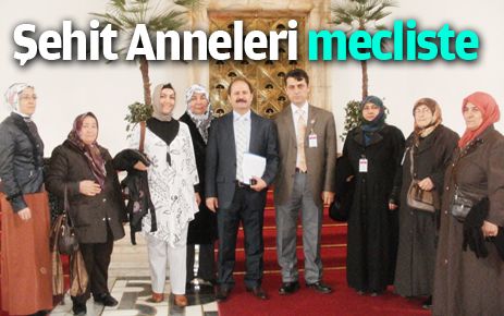 Şehit anneleri mecliste