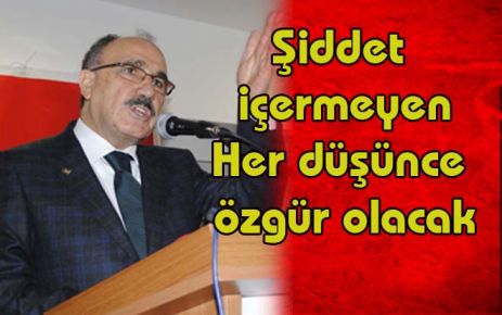 Şiddet içermeyen her düşünce özgür olacak