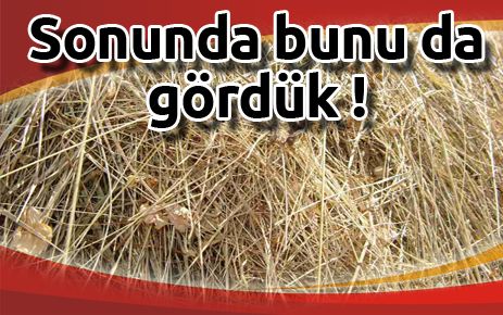 Sonunda bunu da gördük