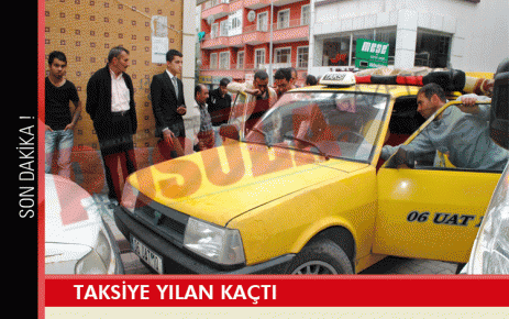 Taksiye yılan kaçtı