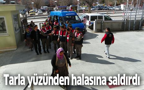 Tarla yüzünden halasına saldırdı