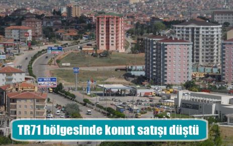 TR71 bölgesinde konut satışı düştü